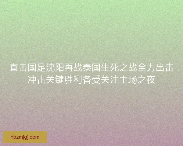 直击国足沈阳再战泰国生死之战全力出击冲击关键胜利备受关注主场之夜