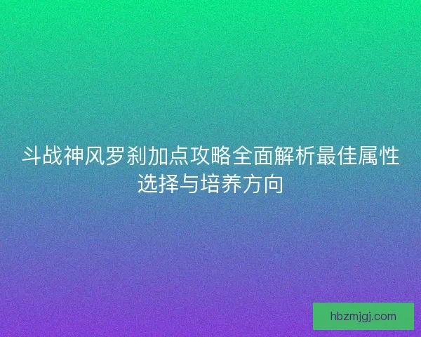 斗战神风罗刹加点攻略全面解析最佳属性选择与培养方向