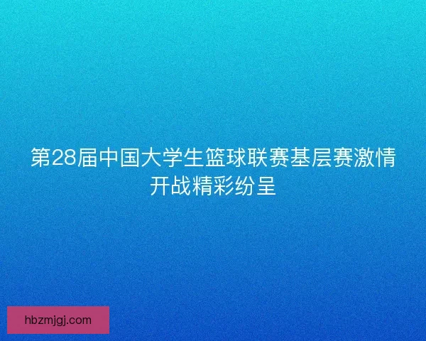 第28届中国大学生篮球联赛基层赛激情开战精彩纷呈
